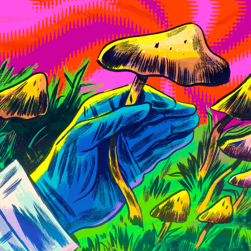 Hand mushrooms