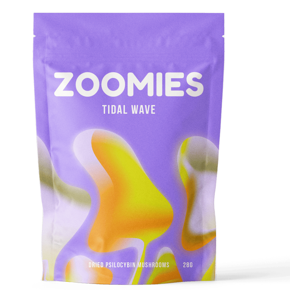 Zoomies - Tidal Wave