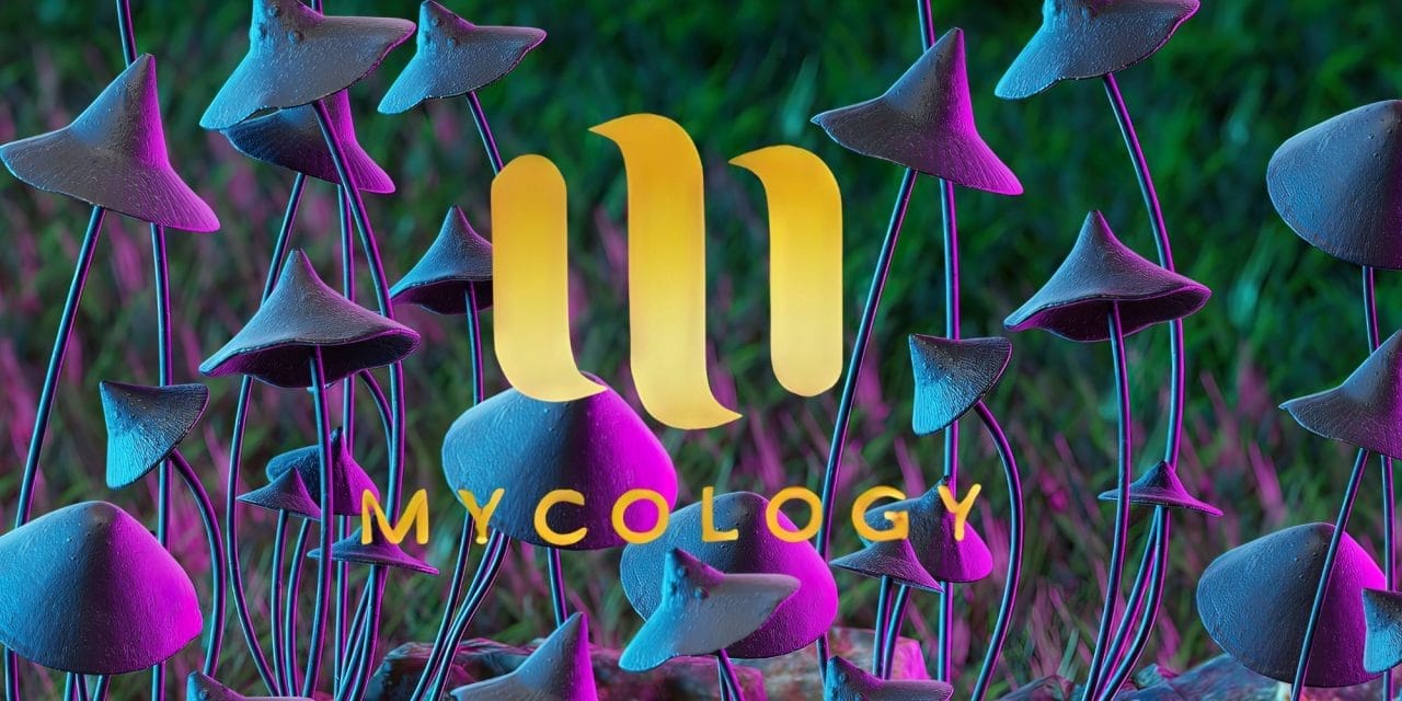 Zoomies Summer 2023 Banner - Mycology